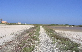 saltpans.png