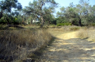 monastery-issos.jpg