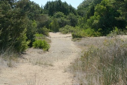 korission bridge track